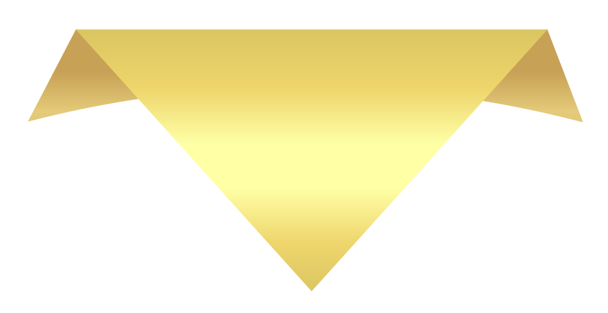 Puntero